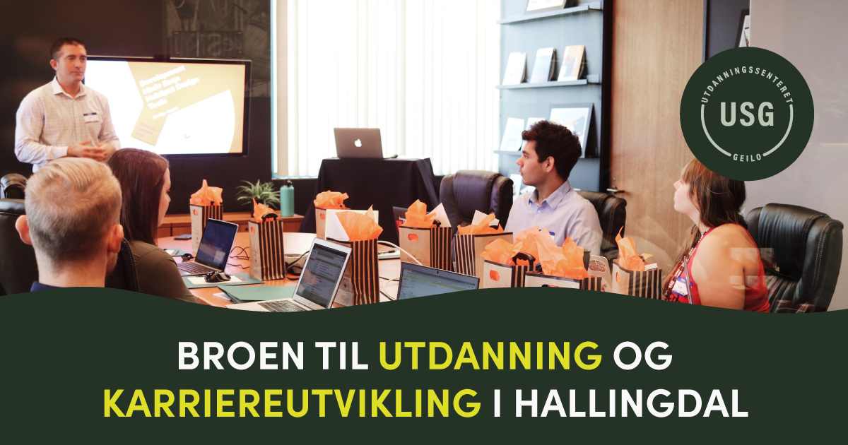 Post: Broen til Utdanning og Karriereutvikling i Hallingdal